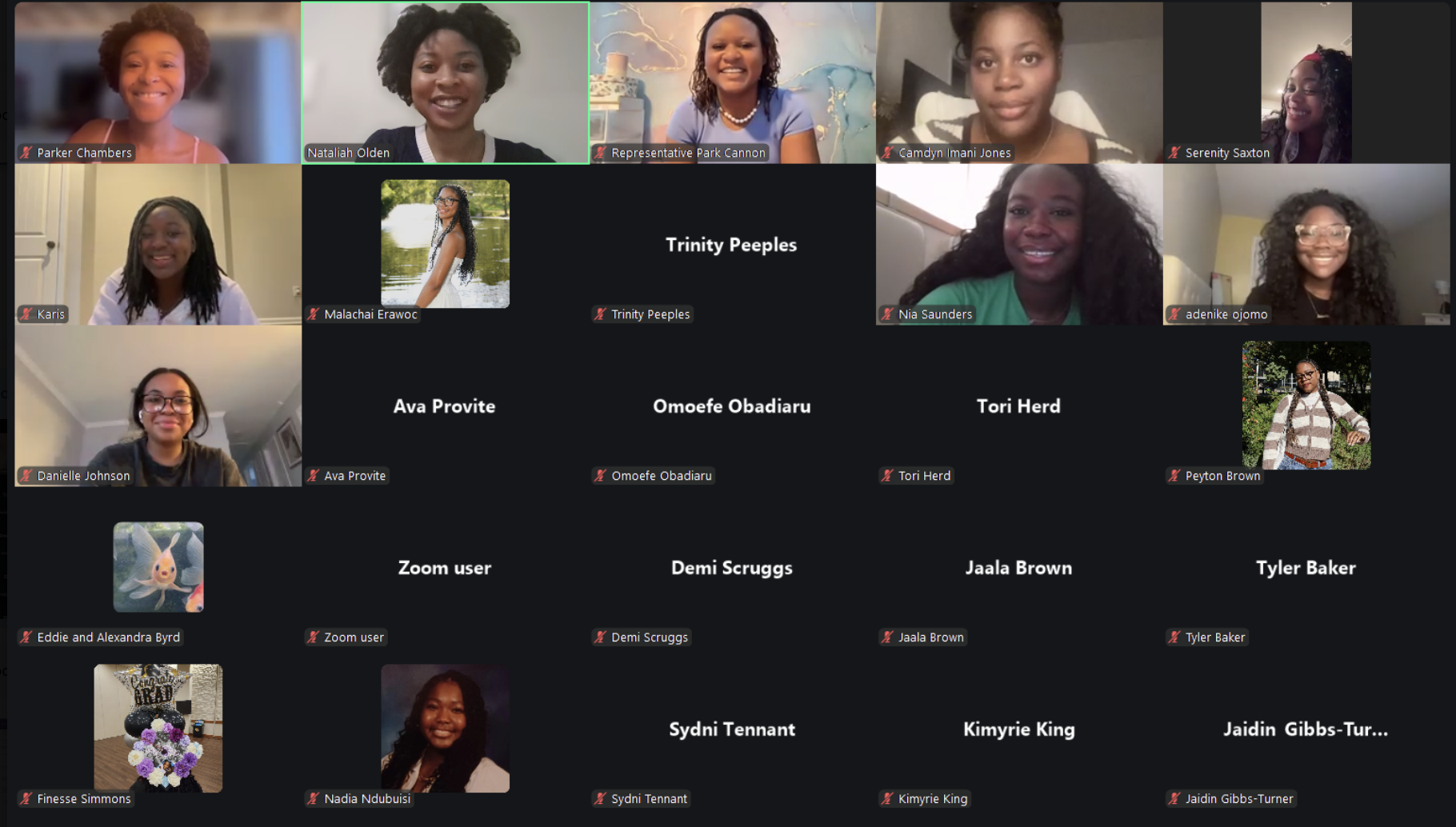 Fresh Faces connect over Zoom for political empowerment!